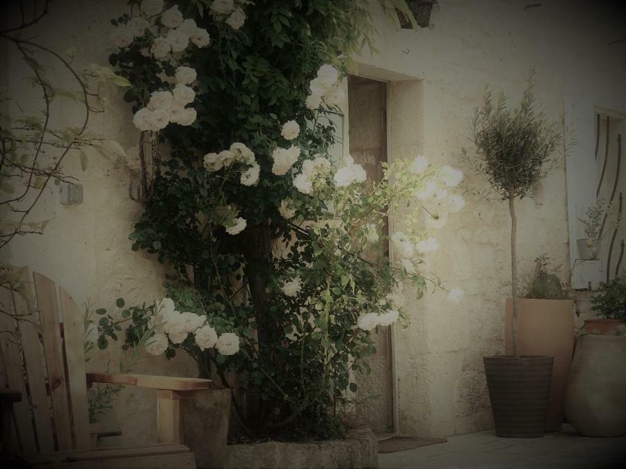 Bed and Breakfast Bastida De Beata Ноай Экстерьер фото